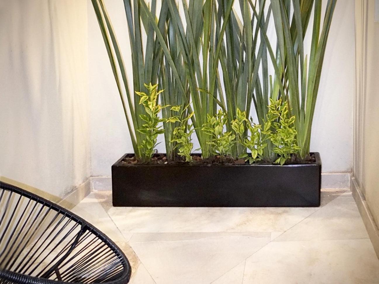 Flats Friends Condesa-Pelotari Apartman Mexikóváros Szoba fotó